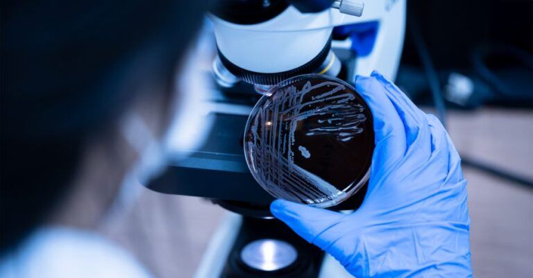 AdobeStock_630035592_1200x627-940x491