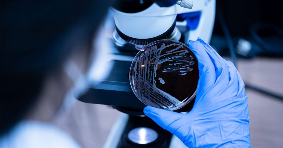 AdobeStock_630035592_1200x627-940x491