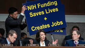 Image Credit: Jose Luis Magana