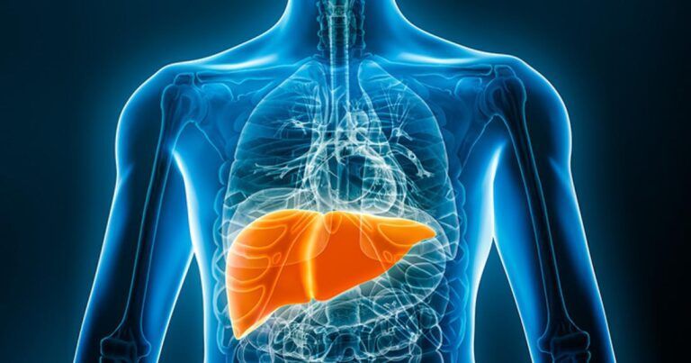 liver-multitasker-1200x400